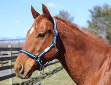 Load image into Gallery viewer, TuffRider Nylon Breakaway Halter & Lead Rope Set