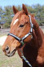 Load image into Gallery viewer, TuffRider Nylon Breakaway Halter & Lead Rope Set
