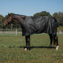 Load image into Gallery viewer, TuffRider 600D RipStop Waterproof/Breathable Comfy Winter Turnout Blanket Medium Weight 200 GSM Standard Neck