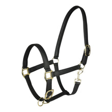 Load image into Gallery viewer, TuffRider EasyCare EquiLeather Heavy Duty Break Away Halter with Brass Plated Fittings
