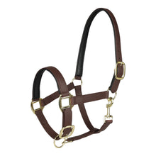 Load image into Gallery viewer, TuffRider EasyCare EquiLeather Heavy Duty Break Away Halter with Brass Plated Fittings