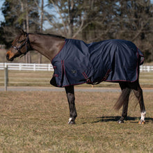 Load image into Gallery viewer, TuffRider 600 D Ripstop Standard Neck Light Weight Turnout Blanket with 100 GSM Fill