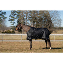 Load image into Gallery viewer, TuffRider 600 D Ripstop Standard Neck Light Weight Turnout Blanket with 100 GSM Fill