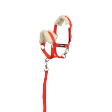 Load image into Gallery viewer, TuffRider Pony Pals Halter and Lead