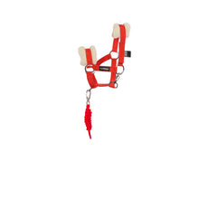 Load image into Gallery viewer, TuffRider Pony Pals Halter and Lead