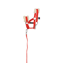 Load image into Gallery viewer, TuffRider Pony Pals Halter and Lead