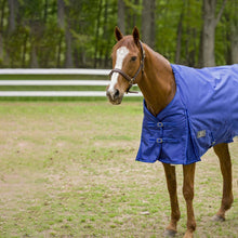 Load image into Gallery viewer, TuffRider 1680 D Super Comfy Winter Ripstop Turnout Blanket Heavy Weight 350 GSM Detachable Neck