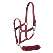 Load image into Gallery viewer, TuffRider Halter And Lead Rope Set With Breakaway Leather