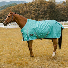 Load image into Gallery viewer, TuffRider 1200 D Comfy Winter Ripstop Turnout Blanket Medium Weight 200 GSM Standard Neck