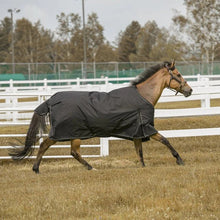 Load image into Gallery viewer, TuffRider 1200 D Comfy Winter Ripstop Turnout Blanket Medium Weight 200 GSM Standard Neck