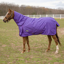 Load image into Gallery viewer, TuffRider 600 D Comfy Winter Medium Weight Ripstop Turnout Blanket w/ Combo Neck- 200 GSM