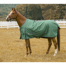 Load image into Gallery viewer, TuffRider 600 D Comfy Winter Ripstop Turnout Blanket Medium Weight 200 GSM Standard Neck