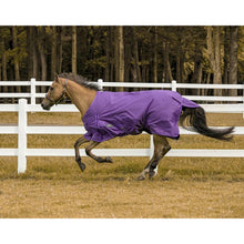 Load image into Gallery viewer, TuffRider 1200 D Comfy Winter Ripstop Turnout Blanket Medium Weight 200 GSM Standard Neck