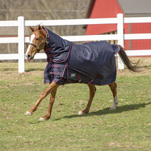 Load image into Gallery viewer, TuffRider 600 D Comfy Winter Medium Weight Ripstop Turnout Blanket w/ Combo Neck- 200 GSM