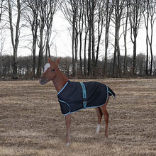 Load image into Gallery viewer, TuffRider 1200D Ripstop Foal Adjustable Turnout Blanket 220GSM Fill