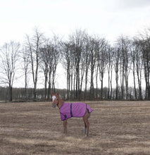 Load image into Gallery viewer, TuffRider 1200D Ripstop Foal Adjustable Turnout Blanket 220GSM Fill