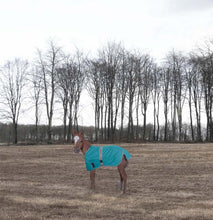 Load image into Gallery viewer, TuffRider 1200D Ripstop Foal Adjustable Turnout Blanket 220GSM Fill