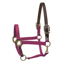 Load image into Gallery viewer, Safety Halter DRAFT