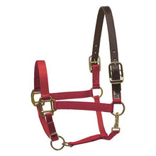 Load image into Gallery viewer, Safety Halter HORSE