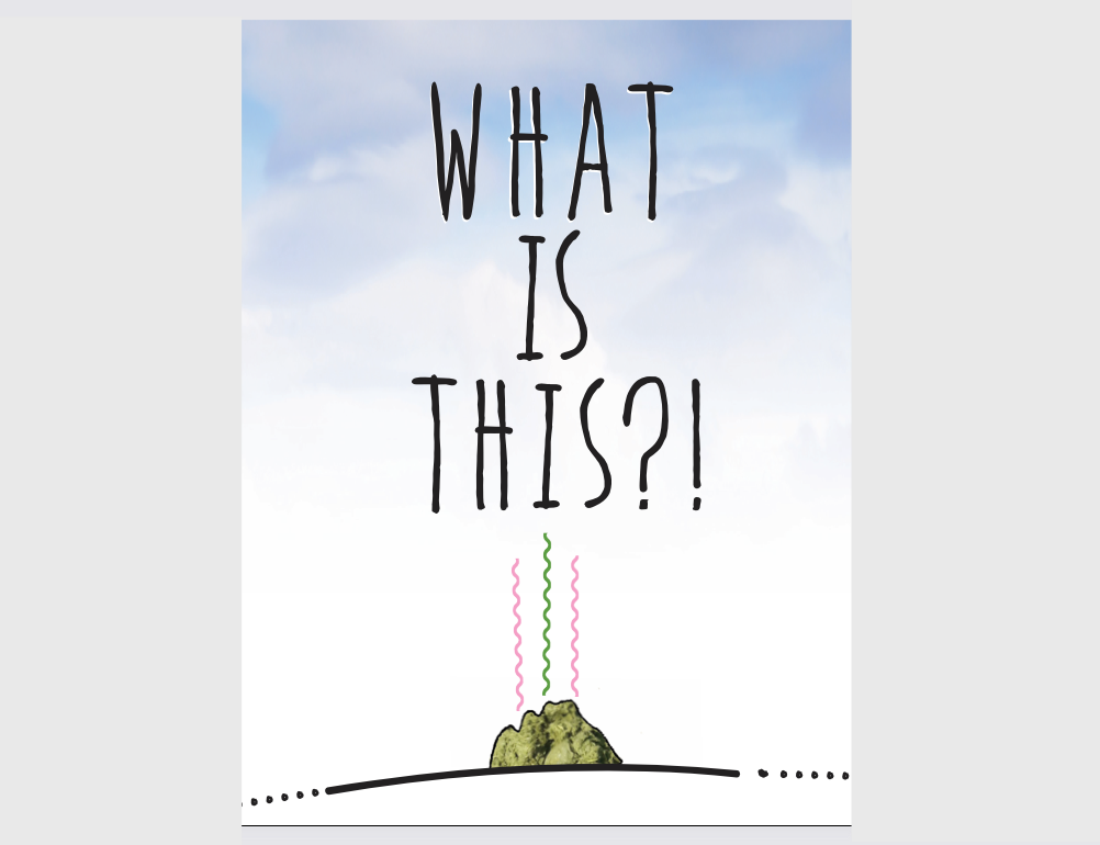 Horse Birthday Card: What is this?!