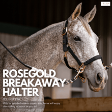 Load image into Gallery viewer, Lettia Rosegold Padded Leather Breakaway Halter