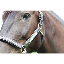 Load image into Gallery viewer, Henri de Rivel Padded Jewel Halter