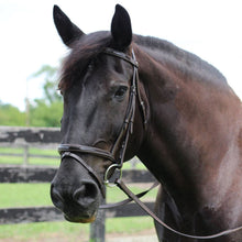 Load image into Gallery viewer, Henri de Rivel Pro Piaffe Mono Crown Bridle with Flash Noseband with Patent Leather