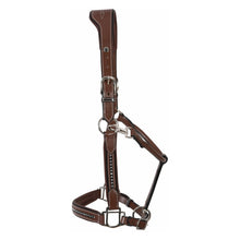 Load image into Gallery viewer, Henri de Rivel Padded Crystal Halter