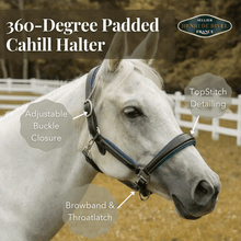 Load image into Gallery viewer, Henri De Rivel 360-Degree Padded Cahill Halter