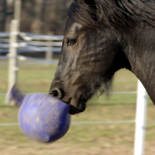 Load image into Gallery viewer, Jolly Ball® 10"
