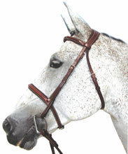 Load image into Gallery viewer, Henri de Rivel Pro Mono Crown Padded Bridle