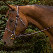 Load image into Gallery viewer, Henri de Rivel Advantage Fancy Raised Padded Bridle With Laced Reins