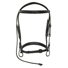 Load image into Gallery viewer, Henri de Rivel Pro Padded Dressage Bridle with Web Reins