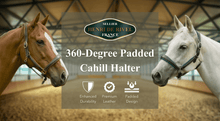 Load image into Gallery viewer, Henri De Rivel 360-Degree Padded Cahill Halter