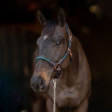 Load image into Gallery viewer, Henri de Rivel Ergonomic Leather Rope Halter