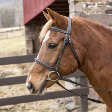 Load image into Gallery viewer, Henri de Rivel Pro Mono Crown Padded Bridle