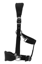 Load image into Gallery viewer, Henri de Rivel Ergonomic Comfort Halter and Lead Rope Set