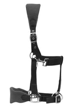 Load image into Gallery viewer, Henri de Rivel Ergonomic Comfort Halter and Lead Rope Set