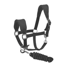 Load image into Gallery viewer, Henri de Rivel Ergonomic Comfort Halter and Lead Rope Set