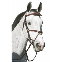 Load image into Gallery viewer, Henri de Rivel Pro Mono Crown Raised Figure Eight Bridle with Rubber Reins