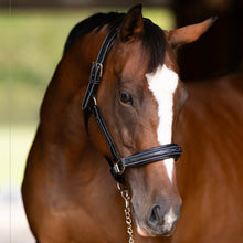 Load image into Gallery viewer, Henri de Rivel Stress Free Halter With Fancy Contrast Stitching