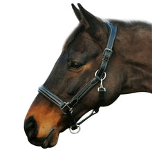 Load image into Gallery viewer, Henri de Rivel Stress Free Halter With Fancy Contrast Stitching