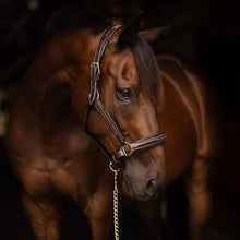 Load image into Gallery viewer, Henri de Rivel Stress Free Halter With Fancy Contrast Stitching