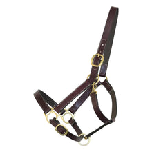 Load image into Gallery viewer, Henri de Rivel Leather Turnout Halters With Snap
