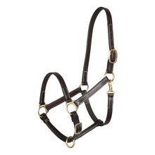 Load image into Gallery viewer, Henri de Rivel Leather Turnout Halters With Snap