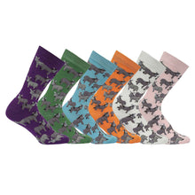 Load image into Gallery viewer, AWST Int'l Donkey Love Socks 6 pack