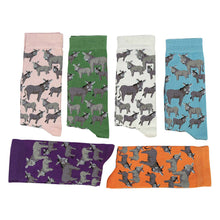 Load image into Gallery viewer, AWST Int'l Donkey Love Socks 6 pack