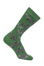 Load image into Gallery viewer, AWST Int'l Donkey Love Socks 6 pack