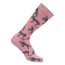 Load image into Gallery viewer, AWST Int'l Playful Donkeys Socks 6 pack