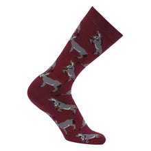 Load image into Gallery viewer, AWST Int'l Playful Donkeys Socks 6 pack